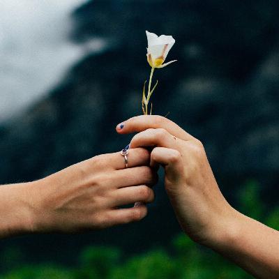 T1 3. Meditación Guiada Liberando La Culpa, Mindfulness