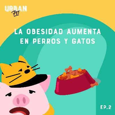 Ep. 2 - La obesidad aumenta en perros y gatos