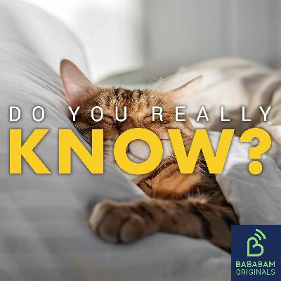 Could CBTI help you sleep better ? Could CBTI help you sleep better ?