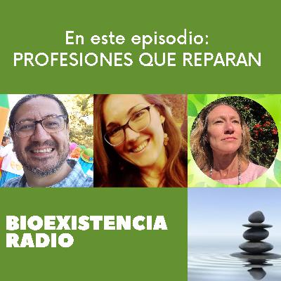 PROFESIONES QUE REPARAN PROFESIONES QUE REPARAN