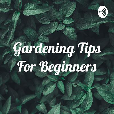 Gardening Tips for Beginners