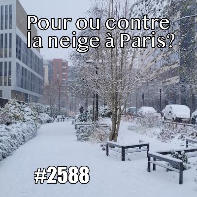 Pour ou contre la neige à Paris?