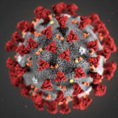 How the Coronavirus is Affecting Our Lives (Dun Dun DUUUUUNNNNN!!)