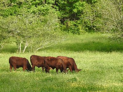 april 2025 april 2025