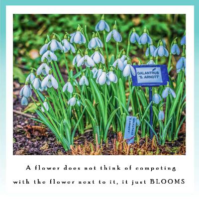 Nugget 15 - Thought on self doubt