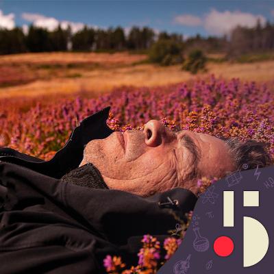 La sieste, souhaitable ou pas? (EN REDIFFUSION)