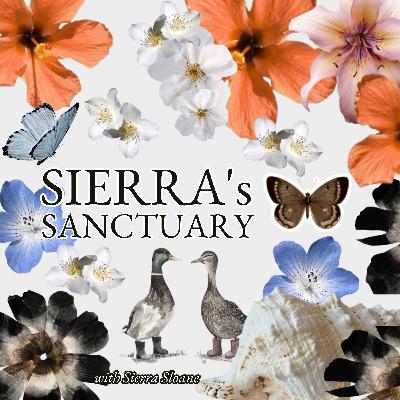 14: Developing Your Aesthetic As A Mentally Ill University Student: Life & Recovery: Thrifting, Sustainability, Classy on a Budget, Overstimulation and More!