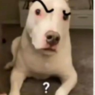 cosas que no entiendo y un pequeño story time de como casi no nazco👨🦯 cosas que no entiendo y un pequeño story time de como casi no nazco👨🦯