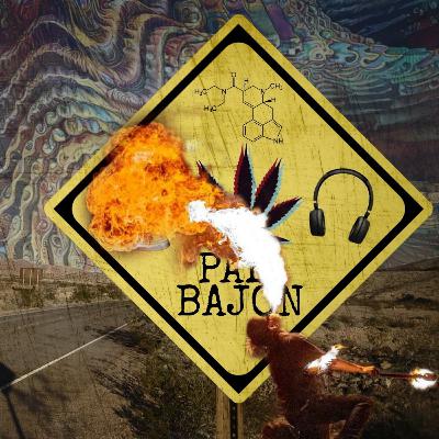 Pal Bajon #87 - Tutorial de como hacer un concierto epico ft. Vulcano Soul Pal Bajon #87 - Tutorial de como hacer un concierto epico ft. Vulcano Soul