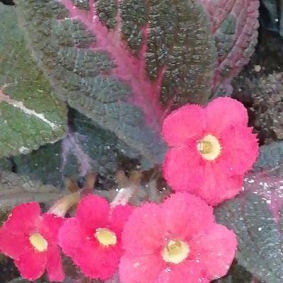 Te acepto como eres desde mi corazón