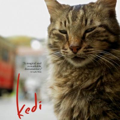 Episode 136: Kedi