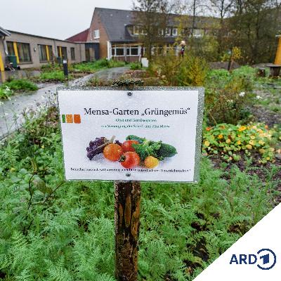 Kirchliche Küchen und Kantinen - Alles eine Frage des Preises?