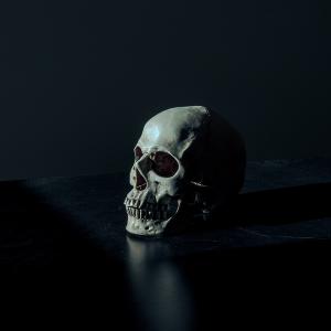 The Song Of The Dead The Song Of The Dead