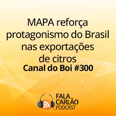 MAPA reforça protagonismo do Brasil nas exportações de citros | Canal do Boi #300