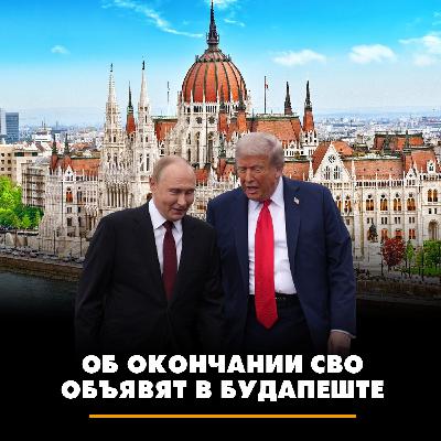 Трамп выбрал Венгрию для переговоров с Путиным, чтобы расколоть Евросоюз