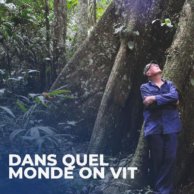 Hommage au botaniste Francis Hallé : « Une vie humaine est tout à fait insuffisante en durée pour admirer suffisamment les forêts » Hommage au botaniste Francis Hallé : « Une vie humaine est tout à fait insuffisante en durée pour admirer suffisamment les forêts »