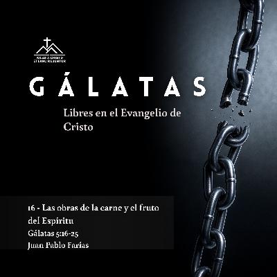 16 - Las obras de la carne y el fruto del Espíritu | Gálatas: Libres en el Evangelio de Jesucristo 16 - Las obras de la carne y el fruto del Espíritu | Gálatas: Libres en el Evangelio de Jesucristo