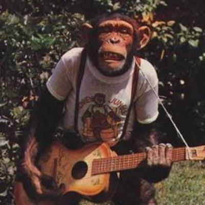 SELERA MUSIK KALI YAK