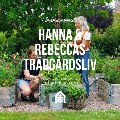 Avsnitt 130 – Köksträdgården, grönsaker