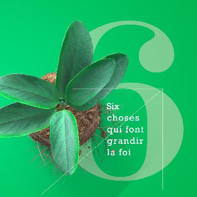 6 choses qui font grandir la foi 1/3 6 choses qui font grandir la foi 1/3