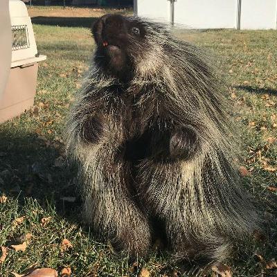 S2, Ep7: Of Baby Alligators and Needing Your Own Zookeeper