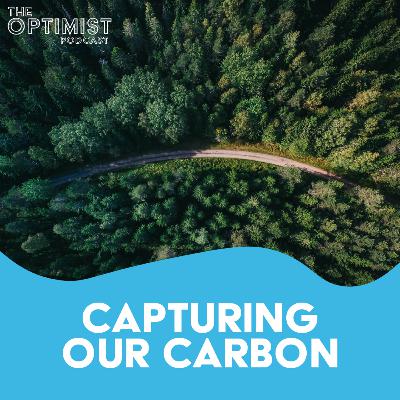 S2/EP2: Capturing Our Carbon - Treeconomy S2/EP2: Capturing Our Carbon - Treeconomy