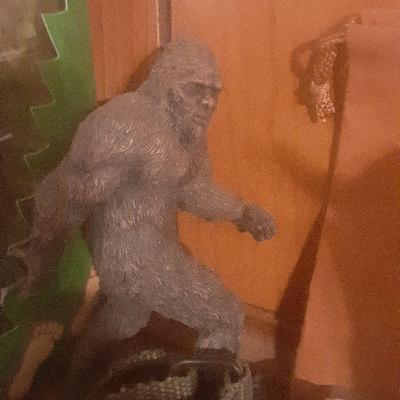 WHAT IS A BIGFOOT? Conclusions and Considerations explained WHAT IS A BIGFOOT? Conclusions and Considerations explained