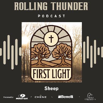 First Light, Sheep - Ep 21