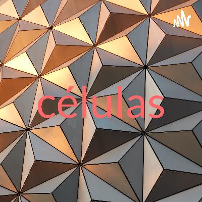 Células!
