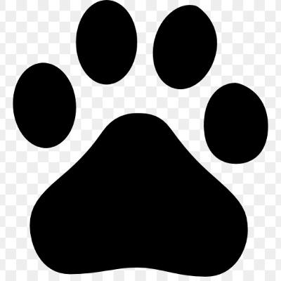 Trouver un nom d'animal en luttant pour la protection des animaux Trouver un nom d'animal en luttant pour la protection des animaux