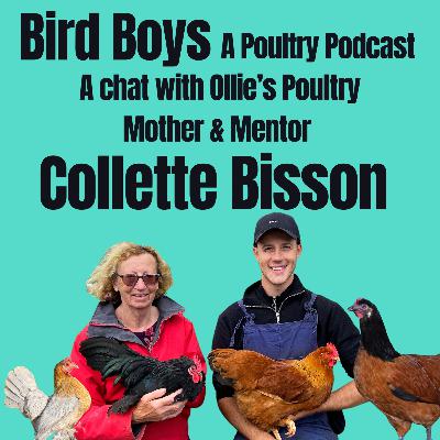 The boys chat with Ollie’s Poultry Mother & Mentor Collette Bisson!