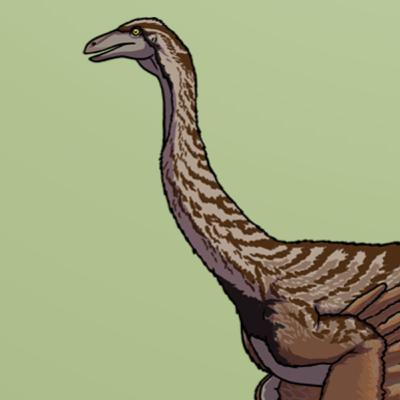 A Palaeo Poultry Pretender