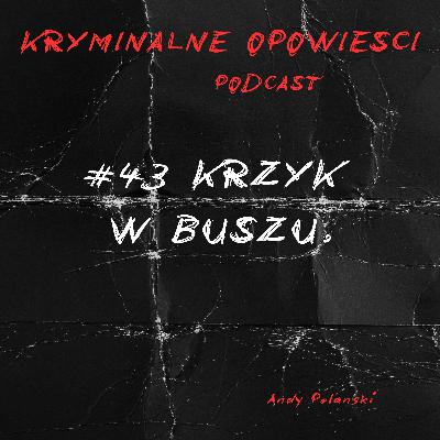 43.Słyszeli krzyki. Nikt nie pomógł | Sprawa Lorraine Wilson i Wendy Evans - Australia. 43.Słyszeli krzyki. Nikt nie pomógł | Sprawa Lorraine Wilson i Wendy Evans - Australia.