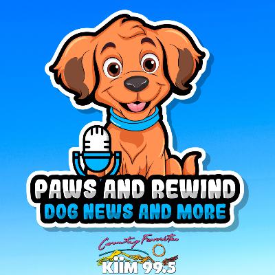 09-17-25 Dog News