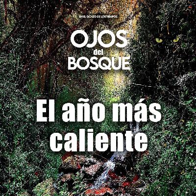 El año más caliente