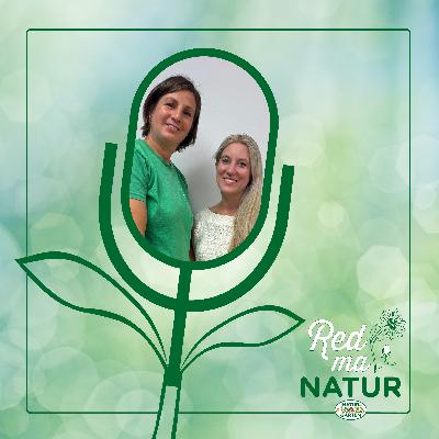 Pilze – erkennen, sammeln & kultivieren