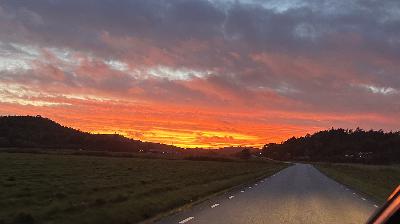 440. Gud själv ska torka alla tårar