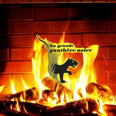 Histoire du soir de papa -📚La Grande Panthère Noire (le pére castor)🐆 Histoire du soir de papa -📚La Grande Panthère Noire (le pére castor)🐆