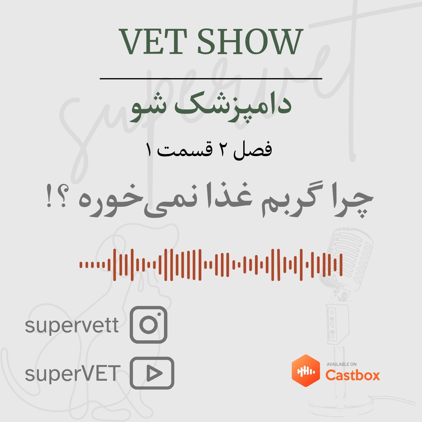 فصل دوم قسمت اول - چرا گربم غذا نمیخوره؟