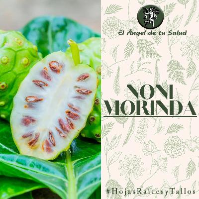 El Ángel de tu Salud - Noni Morinda**
