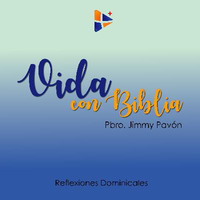 14 de junio 2020 | Reflexión Dominical | Domingo XI del Tiempo Ordinario | Año litúrgico 2019 - 2020 - (Ciclo A)