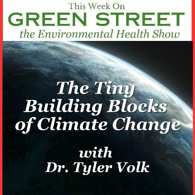 The Tiny Blocks of Climate Change with Dr. Tyler Volk The Tiny Blocks of Climate Change with Dr. Tyler Volk