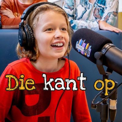 1. Wat valt er te kiezen, structuur van het VO onderwijs?