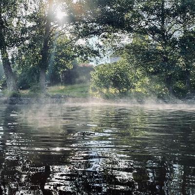 Klimatförändringarnas påverkan på skogen och lövskogsbruk