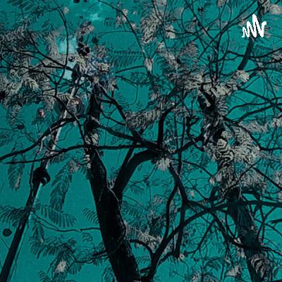 Orgullo y amor propio 🍂❤️