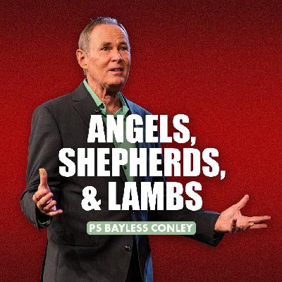 Angels, Shepherds, & Lambs | Bayless Conley