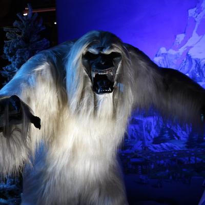 #sbofficial | Yeti | S B Official #sbofficial | Yeti | S B Official