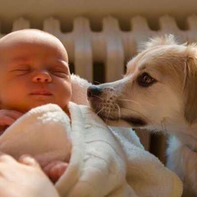 La llegada de un bebé a la familia La llegada de un bebé a la familia