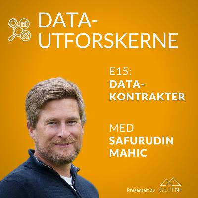 Datakontrakter med Safurudin Mahic