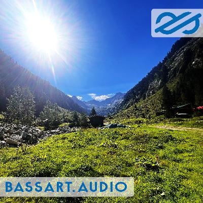 basscast 2408